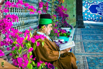 زیارت شهر مقدس کربلا در وانفسای کرونا
 32