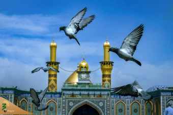 زیارت شهر مقدس کربلا در وانفسای کرونا
 35