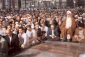 آیت الله امینی