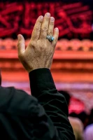 احیاء شب قدر در حرم حضرت امیرالمومنین علی (ع)   9