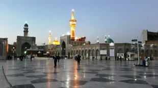 بازگشایی حرم مطهر رضوی – تصاویر  9