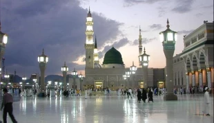 «مسجدالنبی(ص)»، دومین مسجد بزرگ جهان 2