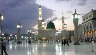 آخرین وضعیت "حج" و "اربعین" امسال از زبان رییس جمعیت هلال احمر