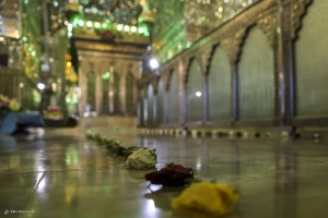 بزرگداشت روز حضرت شاهچراغ (ع) در شیراز 
