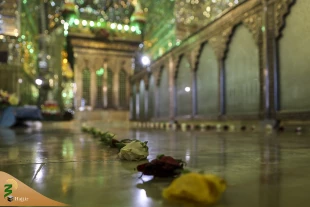 بزرگداشت روز حضرت شاهچراغ (ع) در شیراز برگزار شد 2