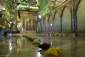 بزرگداشت روز حضرت شاهچراغ (ع) در شیراز برگزار شد 2