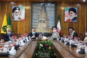Review of Hajj's operational and executive processes