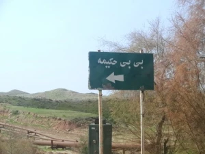 خواهر امام رضا (ع) را بهتر بشناسیم