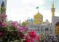 جلسه بنیاد مرکزی زائر امام رضا(ع) در حرم مطهر رضوی برگزار شد 2