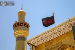 حرم حضرت امیرالمؤمنین(ع) در عزای امام جواد(ع) سیاهپوش شد+ تصاویر 3