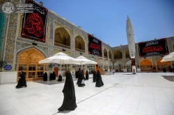 حرم حضرت امیرالمؤمنین(ع) در عزای امام جواد(ع) سیاهپوش شد+ تصاویر 8