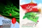 اختتامیه چهارمین سوگواره عبرات در حرم رضوی برگزار شد 11