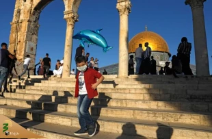 اقامه نماز عید قربان در مسجد الاقصی با حضور ده ها هزار فلسطینی+تصاویر 5