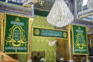 حرم حضرت اباالفضل العباس (ع) مزیّن به نام امیرالمؤمنین(ع) شد+تصاویر 5