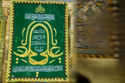 حرم حضرت اباالفضل العباس (ع) مزیّن به نام امیرالمؤمنین(ع) شد+تصاویر 9