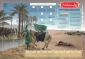راز و رمز تعالی حضرت عباس(ع) چیست+اینفوگرافیک 2