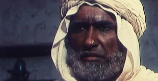 9صفر سالروز شهادت عمّار یاسر؛ آئینه حق‌نما 2