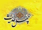 چهل حدیث درباره امام زمان(عج) 2