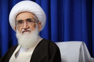  آیت الله نوری همدانی: مسلمانان اهانت کنندگان را مورد تحریم قرار دهند