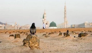 پیامبر اکرم چند بار به حج و عمره رفت؟
