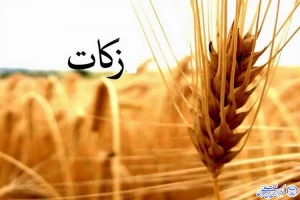 مردم گیلان بیش از ۲۴ میلیارد تومان زکات پرداخت کردند