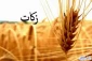 مردم گیلان بیش از ۲۴ میلیارد تومان زکات پرداخت کردند 2