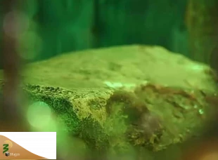 سنگی که میزبان سر سیدالشهدا(ع) بود پس از ۸ سال به جایگاه اصلی بازگشت+عکس 6