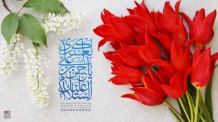 خلاصه‌ای خواندنی از زندگی و فعالیت های امام حسن عسکری(ع) 2