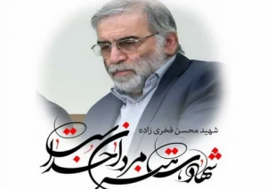 راه‌اندازی پایگاه اینترنتی شهید فخری‌زاده