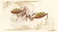 آداب استخاره با قرآن 2