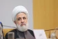 تاکید شیخ نعیم قاسم بر گزینه مقاومت در برابر توطئه های رژیم صهیونیستی 2