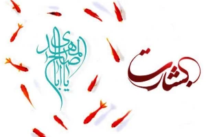 نقد و بررسی و شبهات رجعت در برنامه «بشارت»
