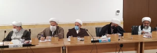 هم‌اندیشی بررسی وجوه انجام مناسک حج در حالت اضطراری 8