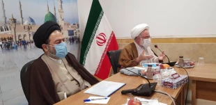 Review of Hajj rituals performance in an emergency 5