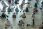 تصاویری از برگزاری نماز در مسجدالحرام و مسجدالنبی 19