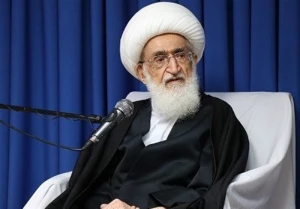 شهیدسلیمانی و ابومهدی المهندس را شهید فاطمی می‌دانم
