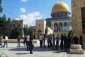 هشدار مفتی قدس نسبت به توطئه رژیم صهیونیستی برای تخریب مسجد الاقصی 2
