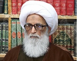 تاکید آیت‌الله العظمی بشیر نجفی بر تامین امنیت شیعیان پاکستان