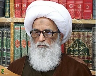 تاکید آیت‌الله العظمی بشیر نجفی بر تامین امنیت شیعیان پاکستان
