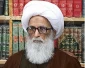 تاکید آیت‌الله العظمی بشیر نجفی بر تامین امنیت شیعیان پاکستان 2