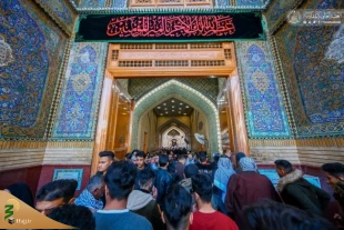 حرم امام علی(ع) در روز شهادت حضرت زهرا(س)+ عکس 2