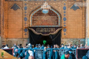 حرم امام علی(ع) در روز شهادت حضرت زهرا(س)+ عکس 3