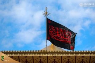 حرم امام علی(ع) در روز شهادت حضرت زهرا(س)+ عکس 13