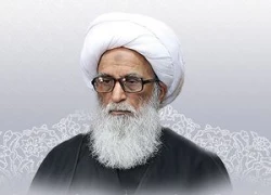 آیت الله بشیر نجفی تحریم آستان قدس رضوی توسط آمریکا را محکوم کرد 2