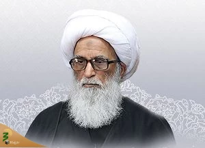 آیت الله بشیر نجفی تحریم آستان قدس رضوی توسط آمریکا را محکوم کرد 2