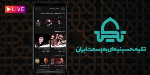 فاطمیه امسال ۴٠٠ هزار نفر با «تکیه» هیأت رفتند

