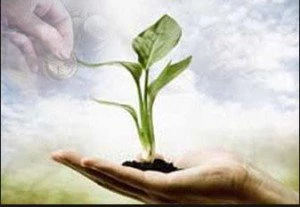 اثرات صدقه در روزهای سخت زندگی انسان