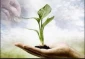 اثرات صدقه در روزهای سخت زندگی انسان 2