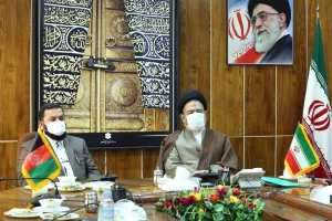 در دیدار مسئول حج افغانستان مطرح شد؛

تشکیل کمیته‌های راهبردی حج ایران و افغانستان 