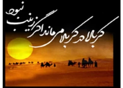 ۱۵ رجب سالگرد رحلت پیام آور کربلا ؛

علت وفات حضرت زینب (س) چه بود؟ 3